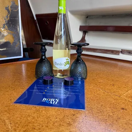 Cosy Boat Botel